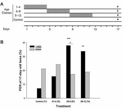 An Early Sensitive Period Induces Long-Lasting Plasticity in the Honeybee Nervous System